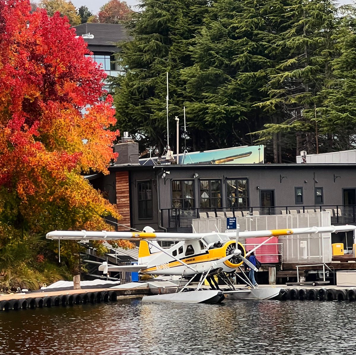 Nature’s PNW fall paintbrush at work and we’re loving the big show! 

#seattle #pnwfall #pacificnorthwest