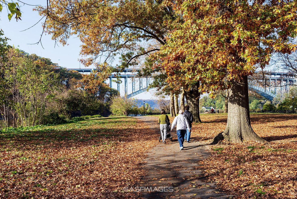 Autumn at Inwood Hill Park
#autumn #fall #fallcolors #FallforNYC #inwood #inwoodhillpark