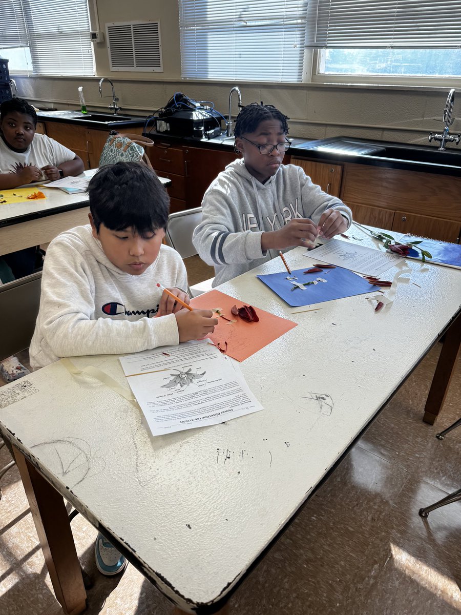 6th grade botanists at Bethel learned about the structure and function of flowering plants by dissecting lilies! Thank you Mrs. Fleming for inviting me! 
<a href="/PCS_AVID/">Jessica A</a> <a href="/stallsj/">Dr. Jennifer Stalls</a>