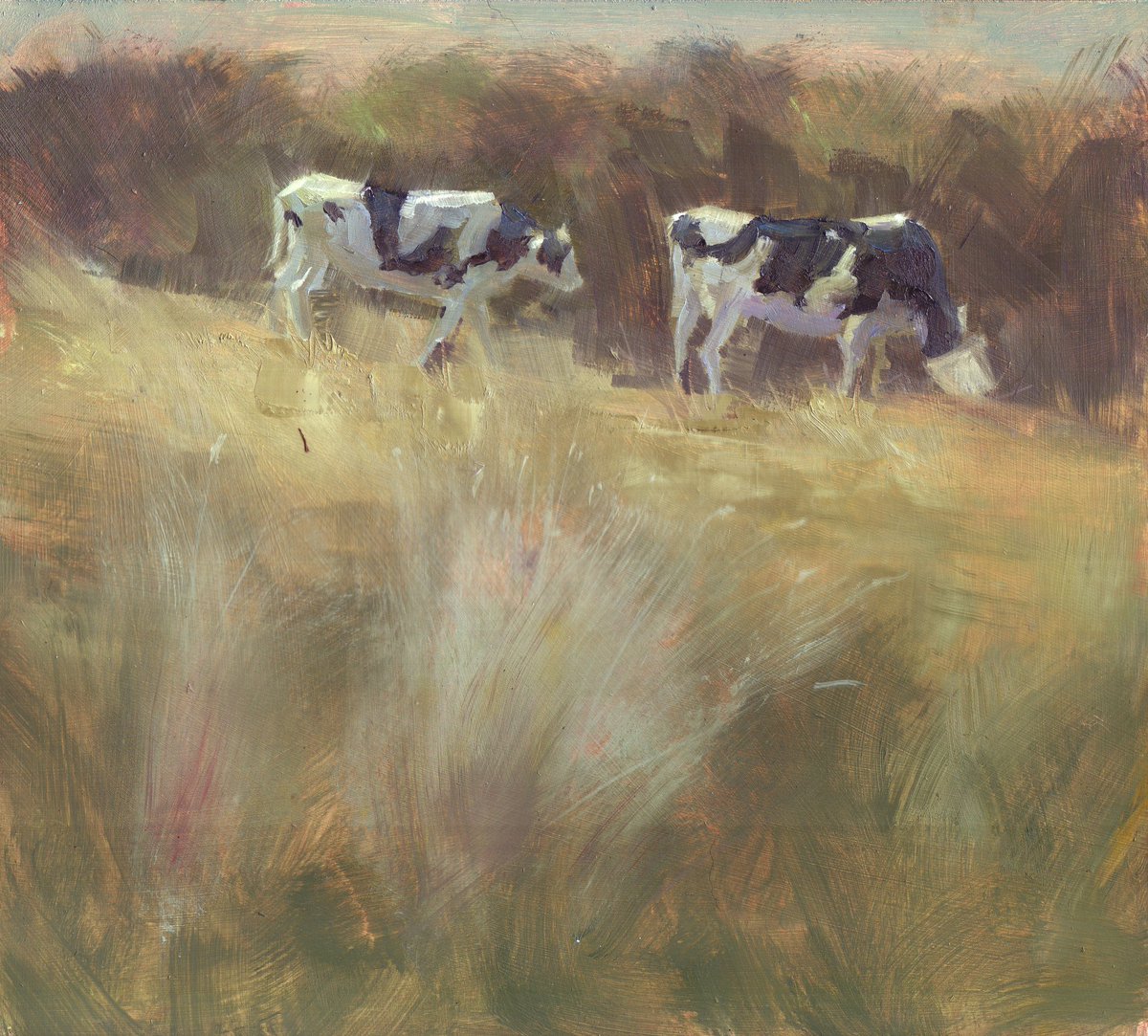 Holstein Friesian Cows, Kircubbin 

#kircubbin #strangfordlough #ardspeninsula #countydown #northernireland #belfastart #belfastartist #ic_landscapes  #paintingday #paintingartgallery #paintingbyme #scenicpainting #pleinair #pleinairpainting #britishartist #landscapeartist