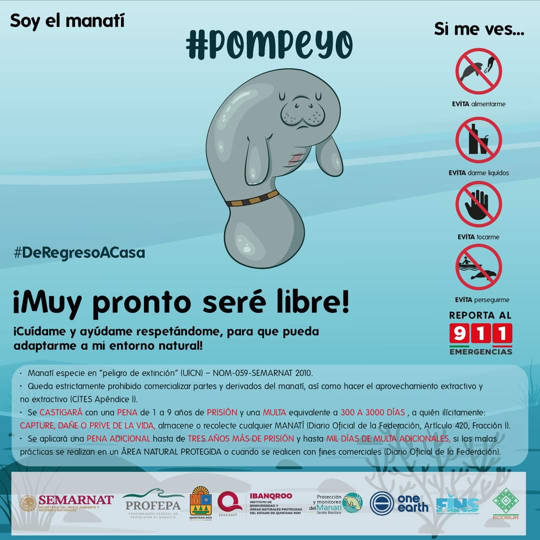 IBANQROO tweet media