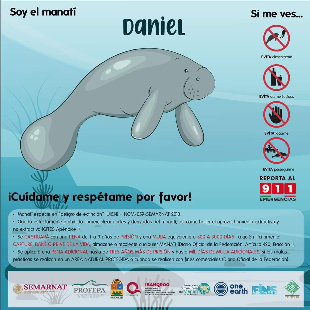 IBANQROO tweet media