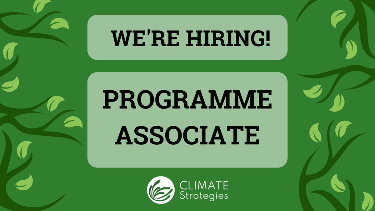 climatestrat's tweet photo. 🍃We're hiring! 🍃

Are you excited about the possibility of contributing to work at the cutting edge of climate policy research? We are looking for a Programme Associate who can help us successfully deliver our broad portfolio of projects.

Apply here: https://t.co/iyh130qEsJ https://t.co/83KQzufdlp