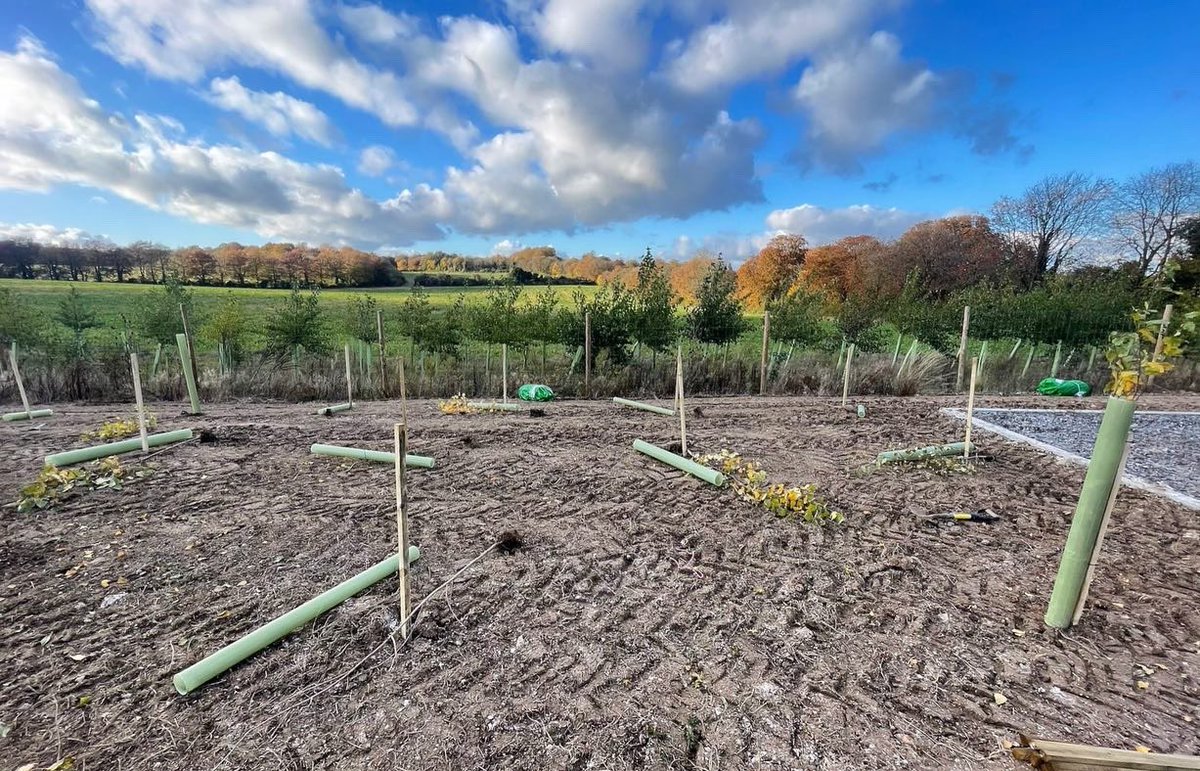 DKSLimited's tweet photo. This week, a dry weather window meant the team headed south for our latest project - grass sowing and planting of native hedgerow and woodland copse 🌿

#dksltd #landmanagement #seeding #grass #planting #newholland #tractor https://t.co/1nMZd2LdTU