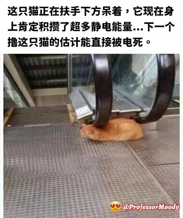 PixelBirds Sparrow 像素鸟 (@pixelbirds_net) on Twitter photo 