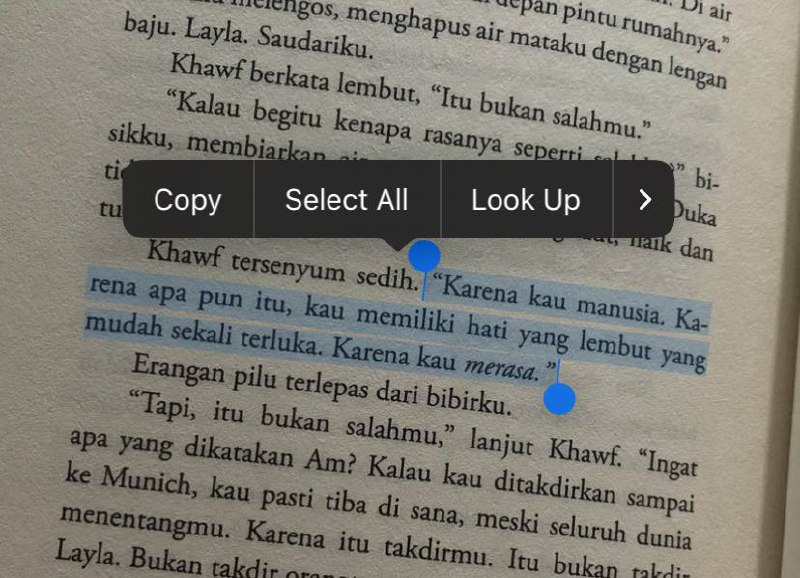 literarybase's tweet photo. /lt title: as long as the lemon trees grow. Drop quotes terbaik menurut kalian dari buku ini dong 🥹🍋 https://t.co/yzWeHOdS9z
