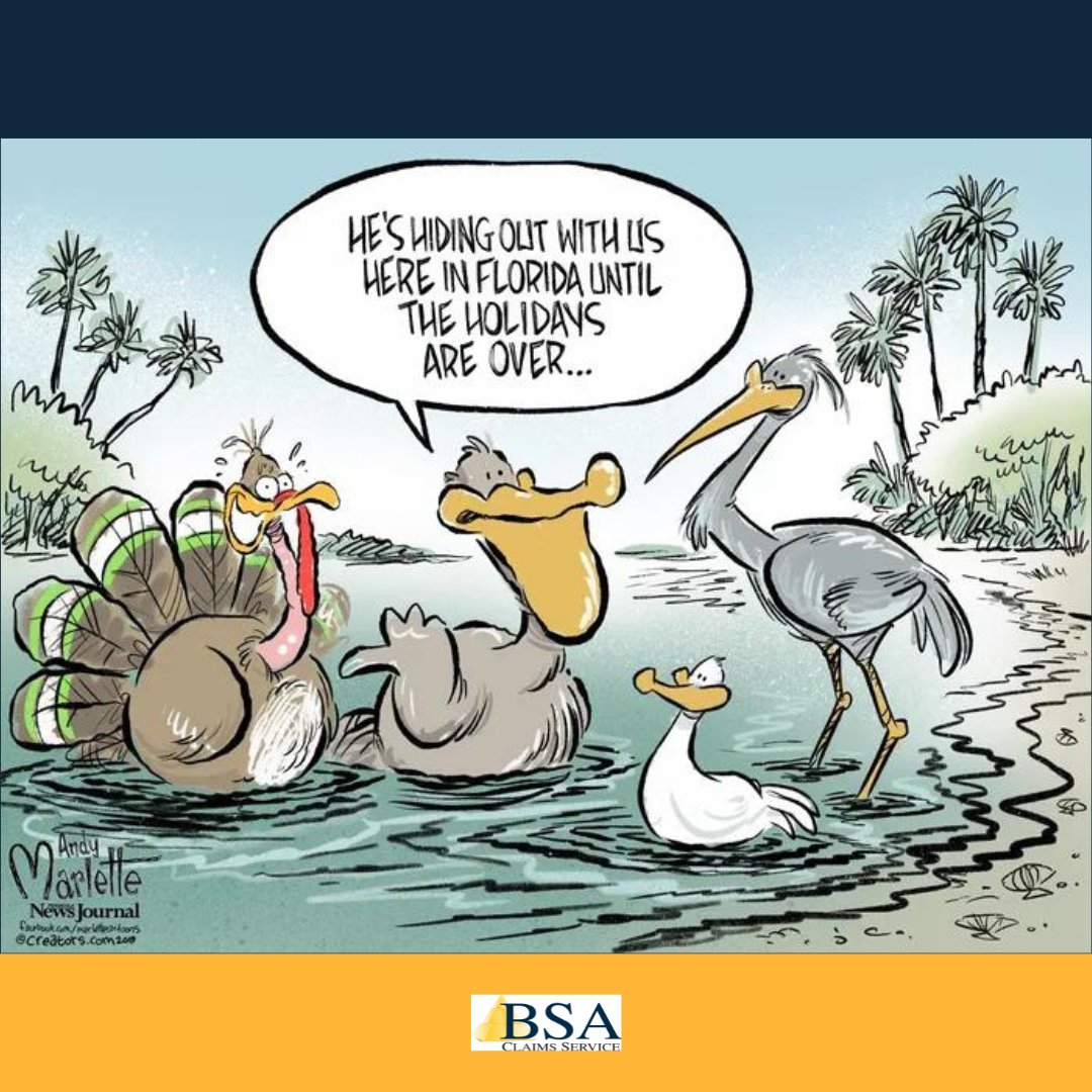 BSA_Claims's tweet image. 🦃 This turkey's got the right idea, hanging out in sunny Florida until the holidays are over! Wishing everyone a delightful holiday season from BSA Claims Service! 🌴 

#ThanksgivingHumor #FloridaFunny #Snowbird