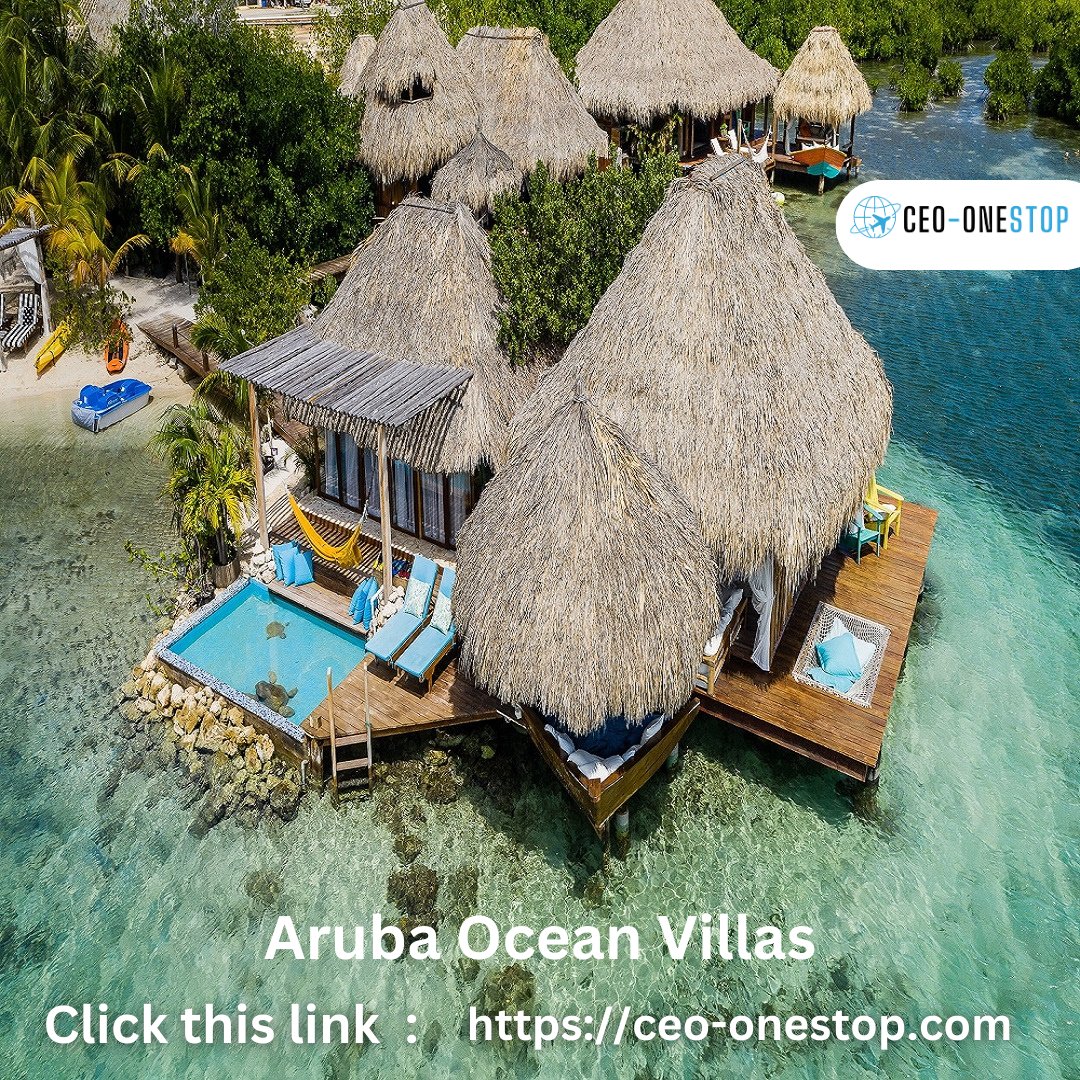 CEOonestop's tweet photo. 🏡 Aruba Ocean Villas 🏡

🔗 Click here : https://t.co/BLgQUCa7OD

#usatravel #usatravels #usatraveler #usatravelers #usatraveller #tourism #tourist #tour #tourists #toureiffel #touring #tours #tourlife #touristday #touristattraction #travel #Travelgram #traveling #travelphoto https://t.co/2Uk4UaM6K0
