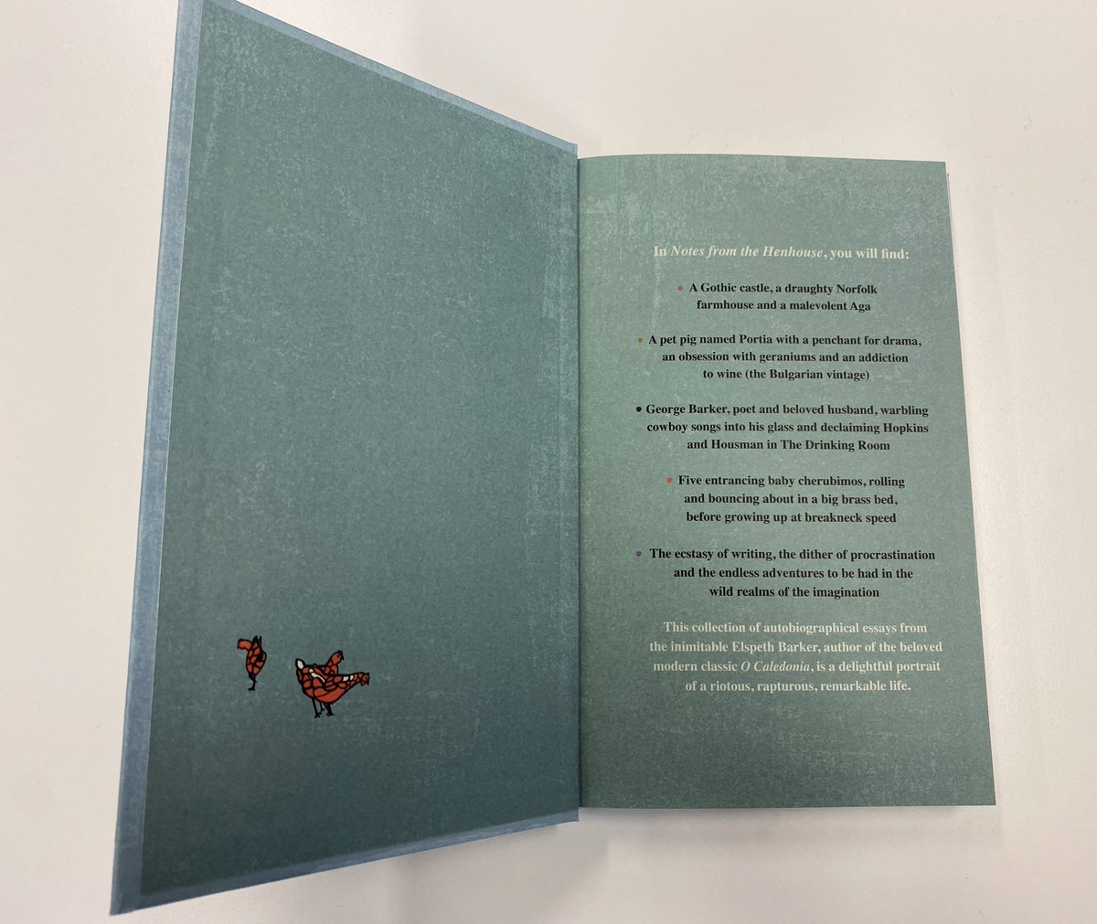letticefranklin's tweet photo. Beautiful finished copies of #NotesFromTheHenhouse by #ElspethBarker, edited by @raffaellabarker, just in.

Thank you to Olivia Laing, @estherfreudrite, @LucyHH, @charliegilmour and Camilla Grudova for their supporting words.

https://t.co/T8VJpu54rv https://t.co/3GpavHkSMS