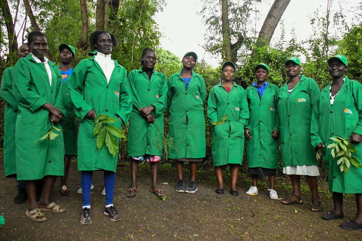 USAmbKenya's tweet image. Honored to learn more about the vibrant agricultural economy in @HomaBayCountyKE from small-holder farmers and workers at #TreesForTheFuture, a 🇺🇸 non-profit helping 8,000 🇰🇪 farmers practice climate-smart agriculture.
