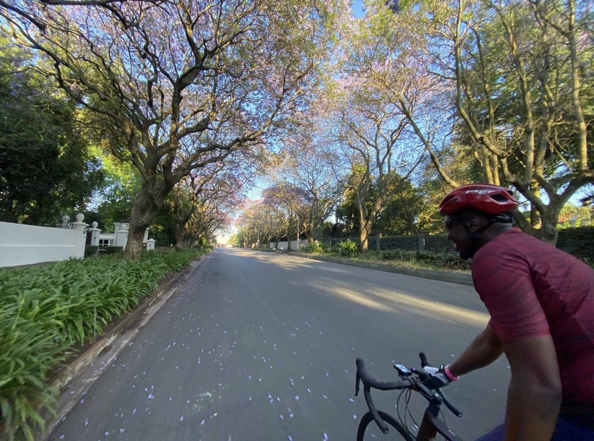 _intore's tweet image. Summer mornings! ☀️