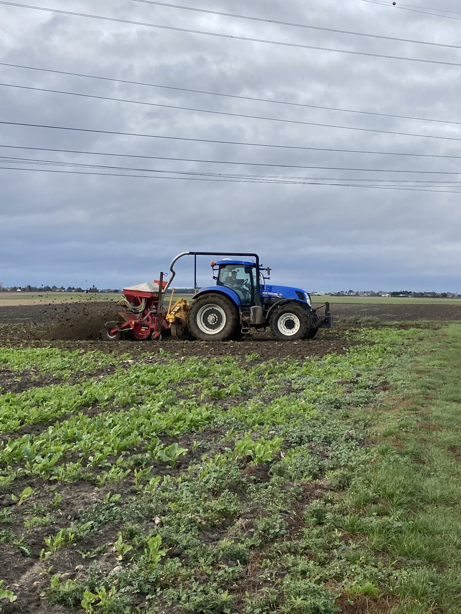 coclng's tweet photo. Semis enfin commencés! #semis @HORSCH_France https://t.co/ozskTZg6J1
