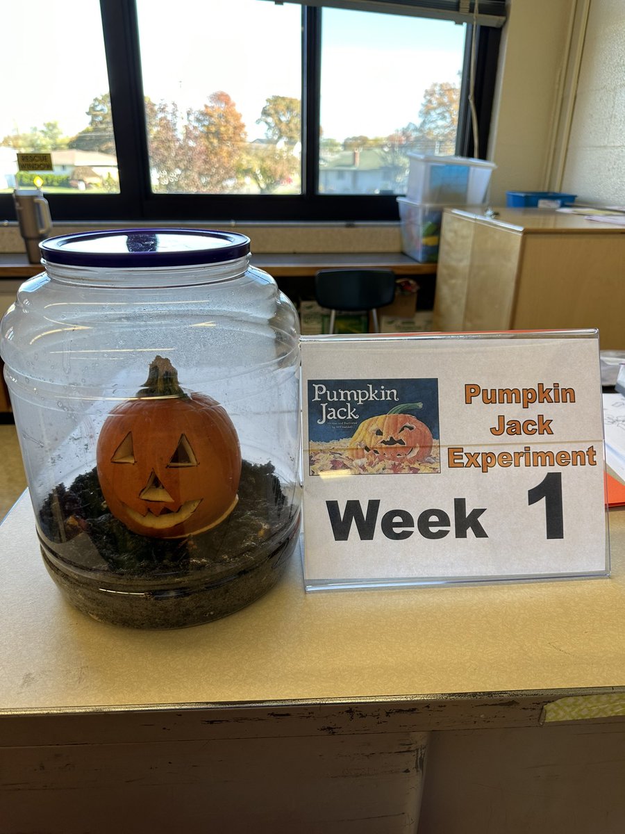 WWP Library 🇺🇦🌻 tweet media