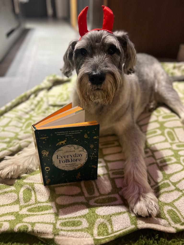 lilithepunk's tweet photo. Late entry to the pets having thoughts about #EverydayFolklore! Here is Reg, canine companion of the lovely @Jobbiebell, dressing for every occasion. Apparently Reg is checking out the folklore of his birth month & reading up about haggis, of which he is very fond #DogsOfTwitter https://t.co/jDhjEoK8Jw