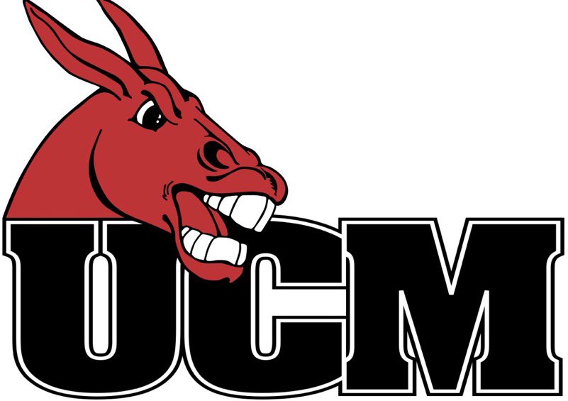 Xavier Goodall tweet media