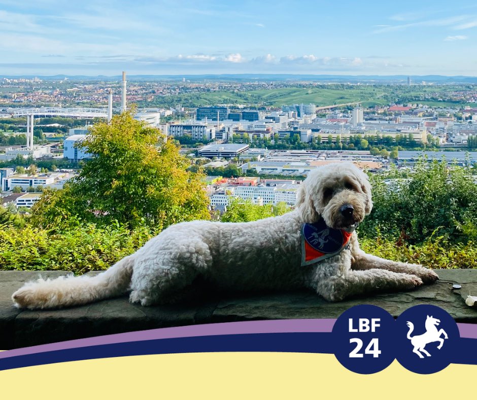 📣 Erster Aufruf zum blinden Wansinn! Wir laden zum #LouisBrailleFestival2024 in #Stuttgart. Ein Grund zum Feiern, Wiedersehen, Vernetzen und tolle Angebote wahrnehmen. Alle Infos rund ums Festival gibt’s hier: 👉🏼 dbsv-festival.de