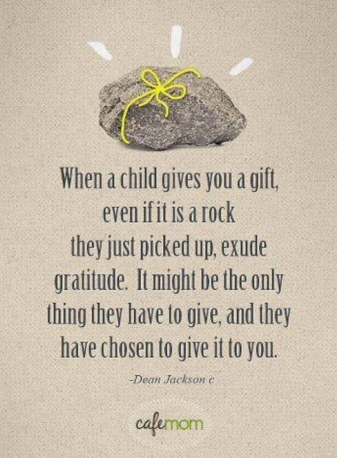 Lynne Fettes tweet media