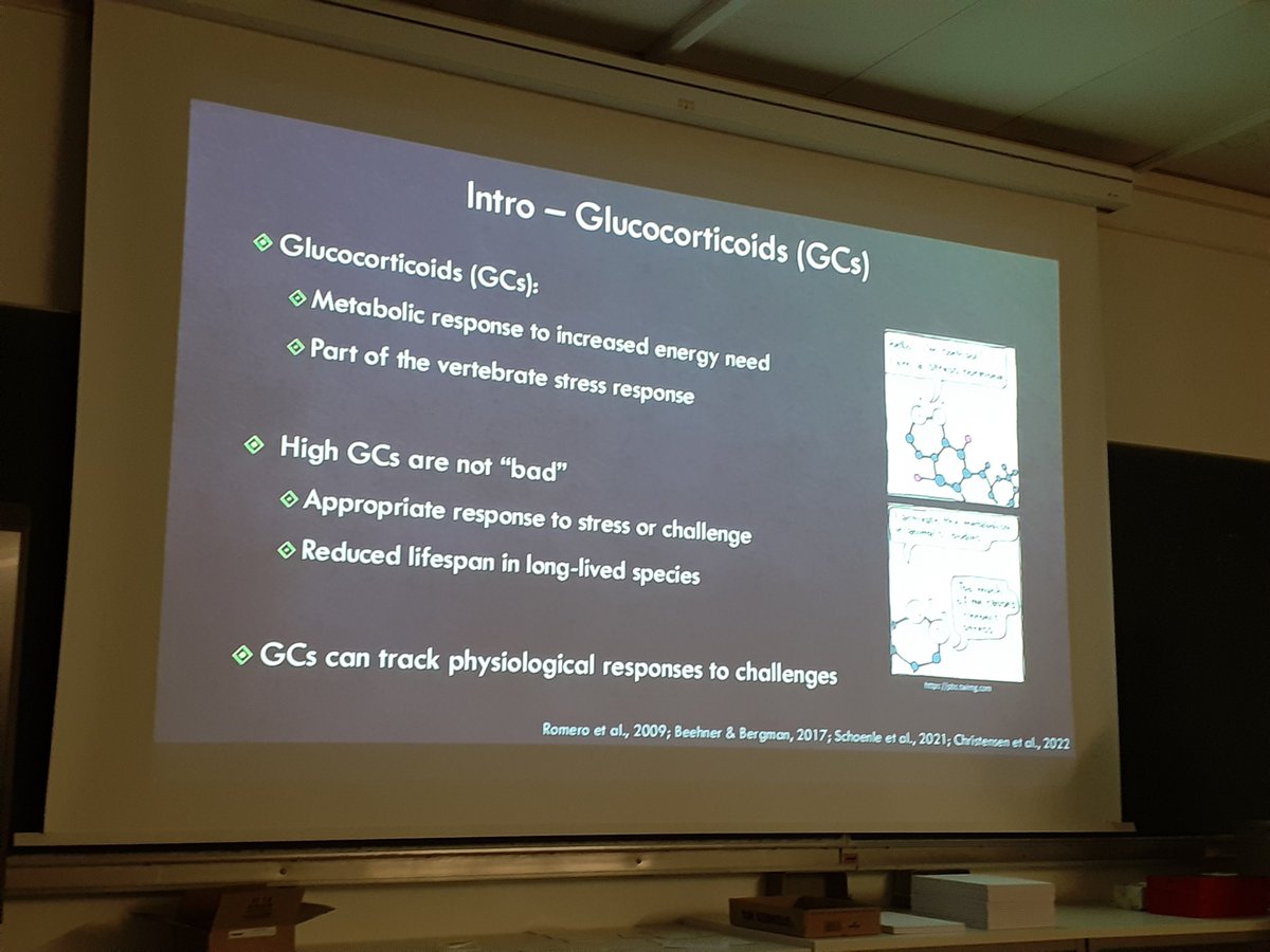 DZG section Behavioural Biology tweet media