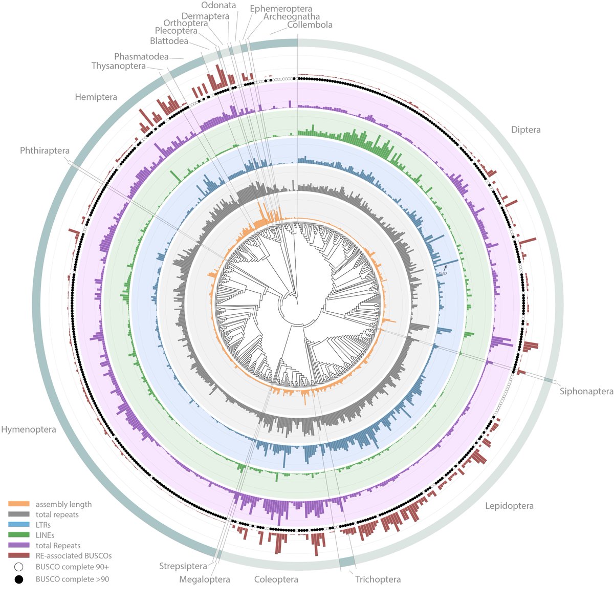 I'm excited to share our paper on repetitive elements in hundreds of insects just out in @genomeresearch 😀 genome.org/cgi/doi/10.110…