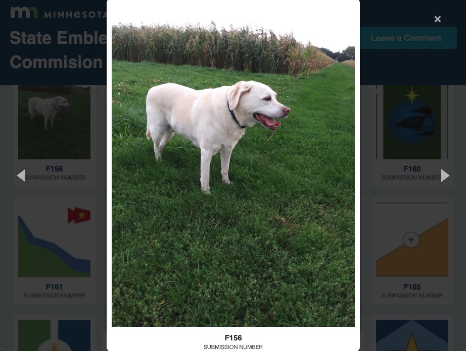 love that someone just submitted a vertical picture of their dog to be the next Minnesota state flag serc.mnhs.org/flags