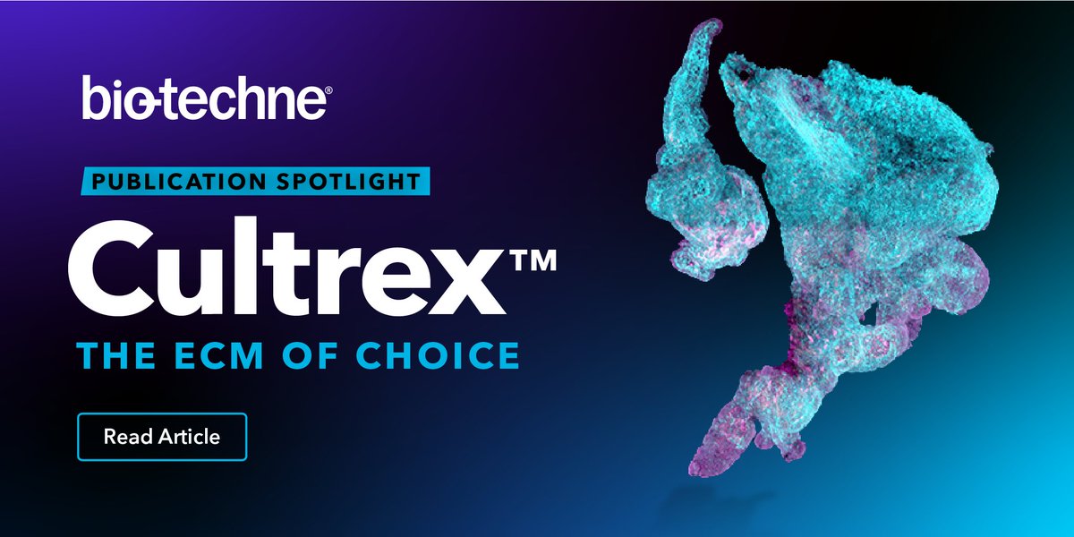 biotechne's tweet photo. New findings in @NatureComms examine E-cadherin-based cell-cell adhesion. See how Münster University researchers used Cultrex™ RGF BME.
#cellmatrix #ExtracellularMatrix #OrganoidResearch #3DCellCulture
https://t.co/A5V4XCwgl6 https://t.co/JMZk4nPPea