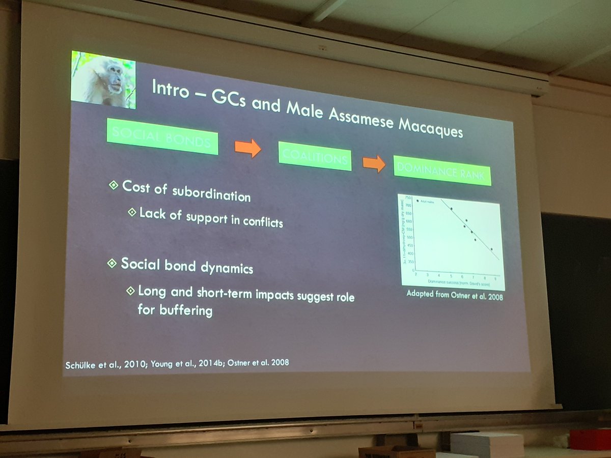 DZG section Behavioural Biology tweet media