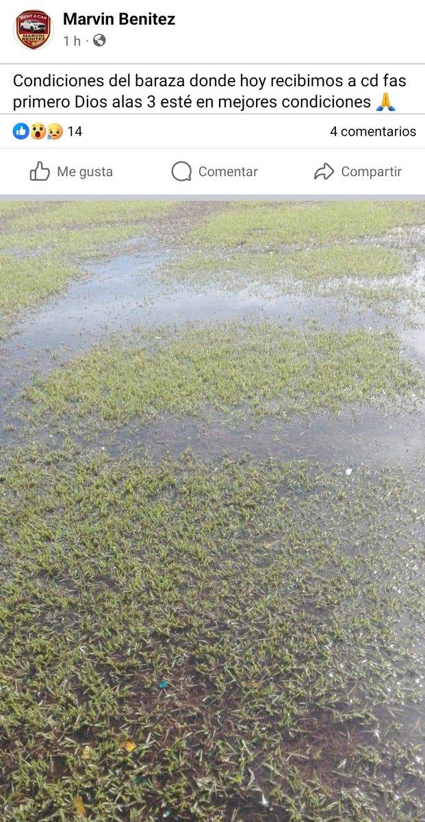 JerryQuijadaTv's tweet image. DT de DRAGÓN, Marvin Benítez, expone estado del terreno de juego en el Barraza. En 4 horas recibe a FAS🫠