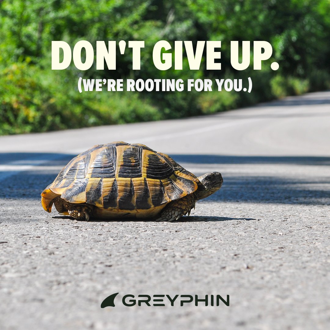 Greyphin tweet media