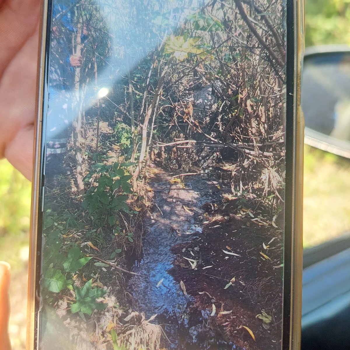 zelma_murillo's tweet photo. @PEPMADU dando seguimiento al bordo de Nuevo Progreso.  Fraccionamiento Vista real sigue burlándose. Tapando solo la caída menor de su drenaje, pero tienen una gran descarga. Servicios públicos no puede realizar la limpieza mientras estas aguas sigan cayendo https://t.co/ZPFzsNvubN