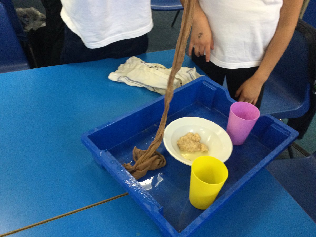 Year 4 exploring the digestive system - lots of yuks!