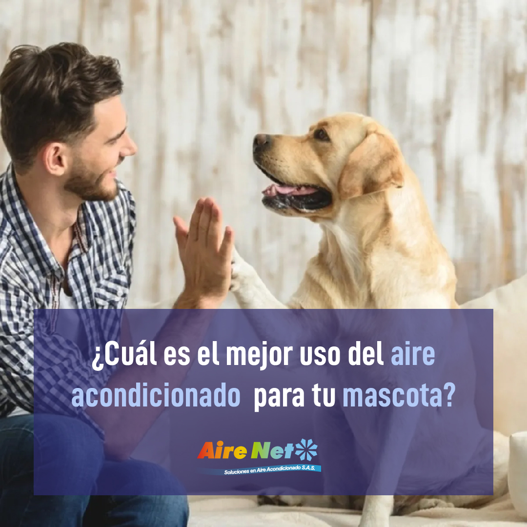 airenetsas's tweet image. Si alguna vez has sentido que prefieres #limitar el uso del #aireacondicionado por miedo a causarle algún daño a tu mascota, te damos algunas #claves a tener en cuenta para que el uso de tu equipo no afecte la salud de tu #peludo

t.ly/dUT8Y

#airenet #tipsairenet