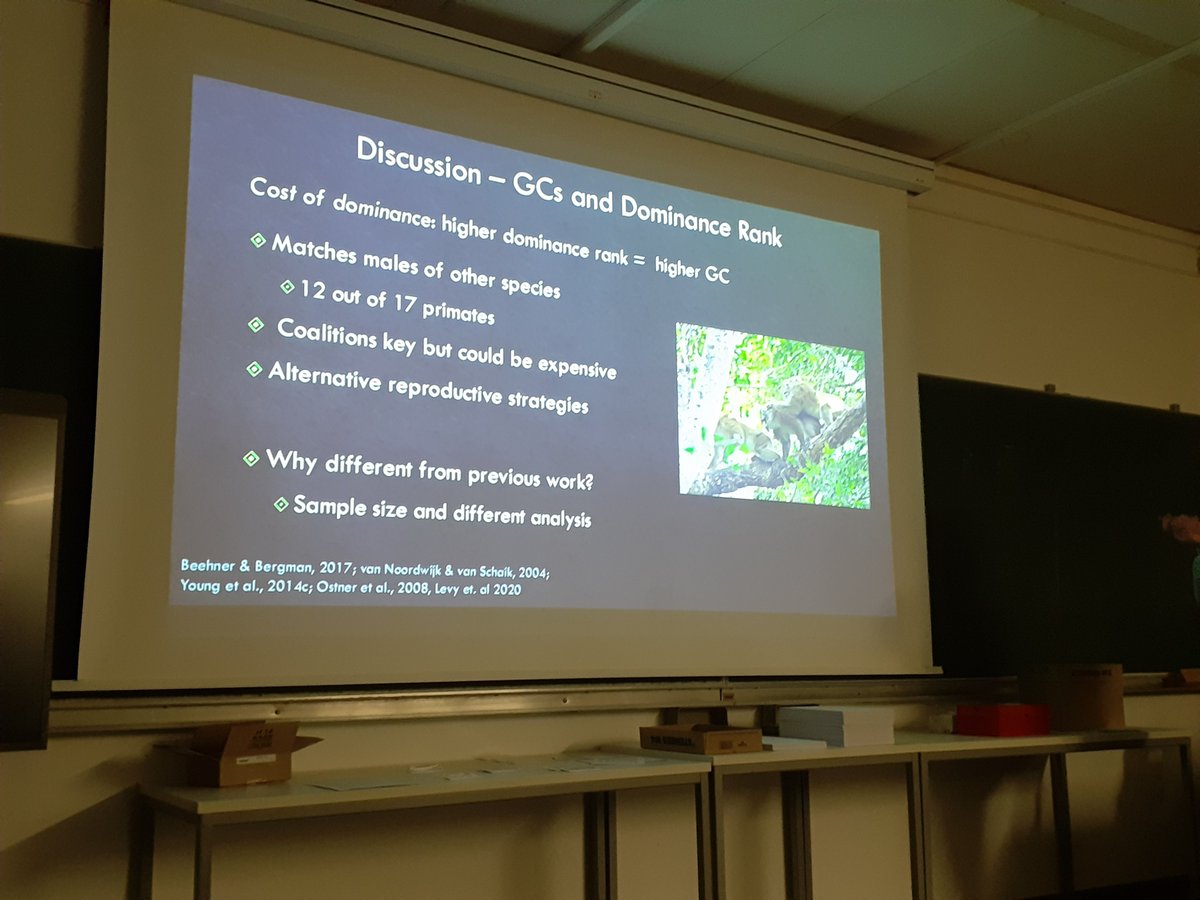 DZG section Behavioural Biology (@dzg_behaviour) on Twitter photo Next up is <a href="/JamesStranks/">James Stranks</a> (<a href="/PrimBehavEcol/">Primate Behavioral Ecology @primbehavecol.bsky.soc</a> and <a href="/DPZ_eu/">Primatenzentrum DPZ</a>), talking about the relationship between glucocorticoids, dominance ranks, and social dynamics in male macaques.
Higher rank = higher cortisol levels, but increasing strengths of top bond = lower cortisol levels.
#gradbehav23 Next up is <a href="/JamesStranks/">James Stranks</a> (<a href="/PrimBehavEcol/">Primate Behavioral Ecology @primbehavecol.bsky.soc</a> and <a href="/DPZ_eu/">Primatenzentrum DPZ</a>), talking about the relationship between glucocorticoids, dominance ranks, and social dynamics in male macaques.
Higher rank = higher cortisol levels, but increasing strengths of top bond = lower cortisol levels.
#gradbehav23