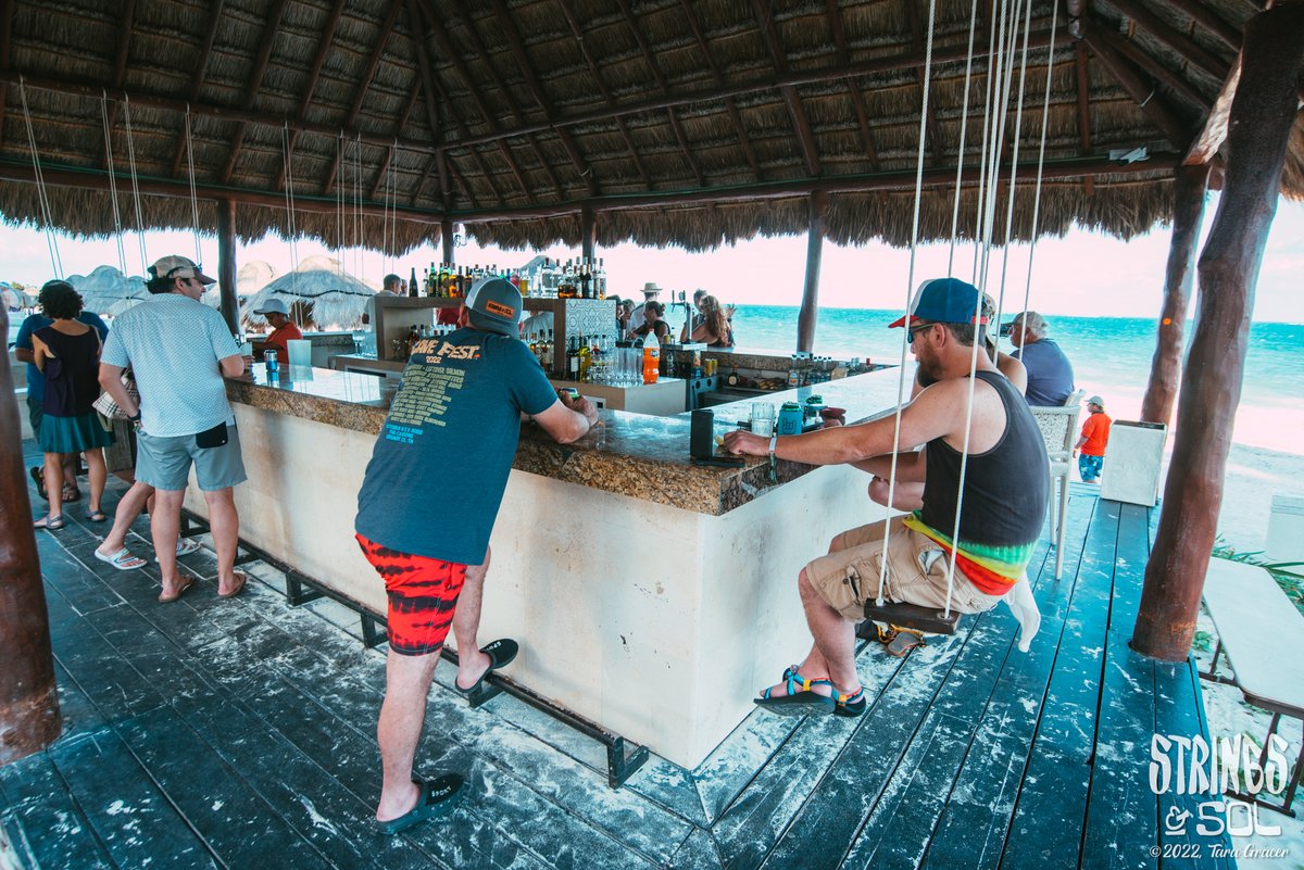 Strings & Sol tweet media