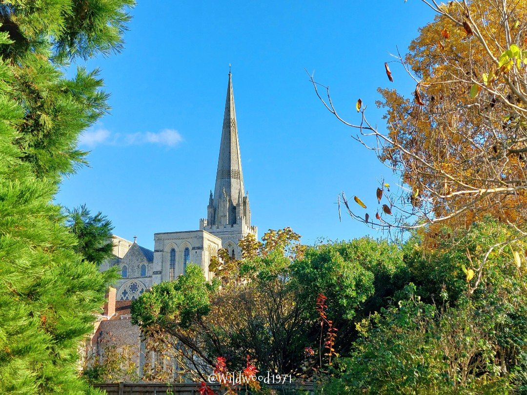 I shall inject a bit of colour from yesterday at Bishop's Palace Gardens because today's weather is just meh! @PONewsHub @greatsussexway @ExpWestSussex @VisitSEEngland @ChiCathedral @ChichesterBID @ChichesterDC @BBCSouthWeather @itvmeridian @BBCSussex @ThePhotoHour