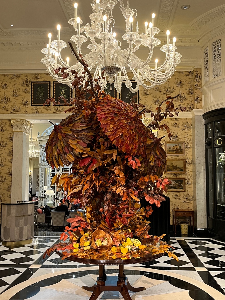 Revelling in the golden hues of Autumn at The Savoy 🍁⁠ Thanks to our talented florists for creating this stunning installation to celebrate the changing of the seasons ✨ #autumn #autumninlondon #thesavoy #fivestar