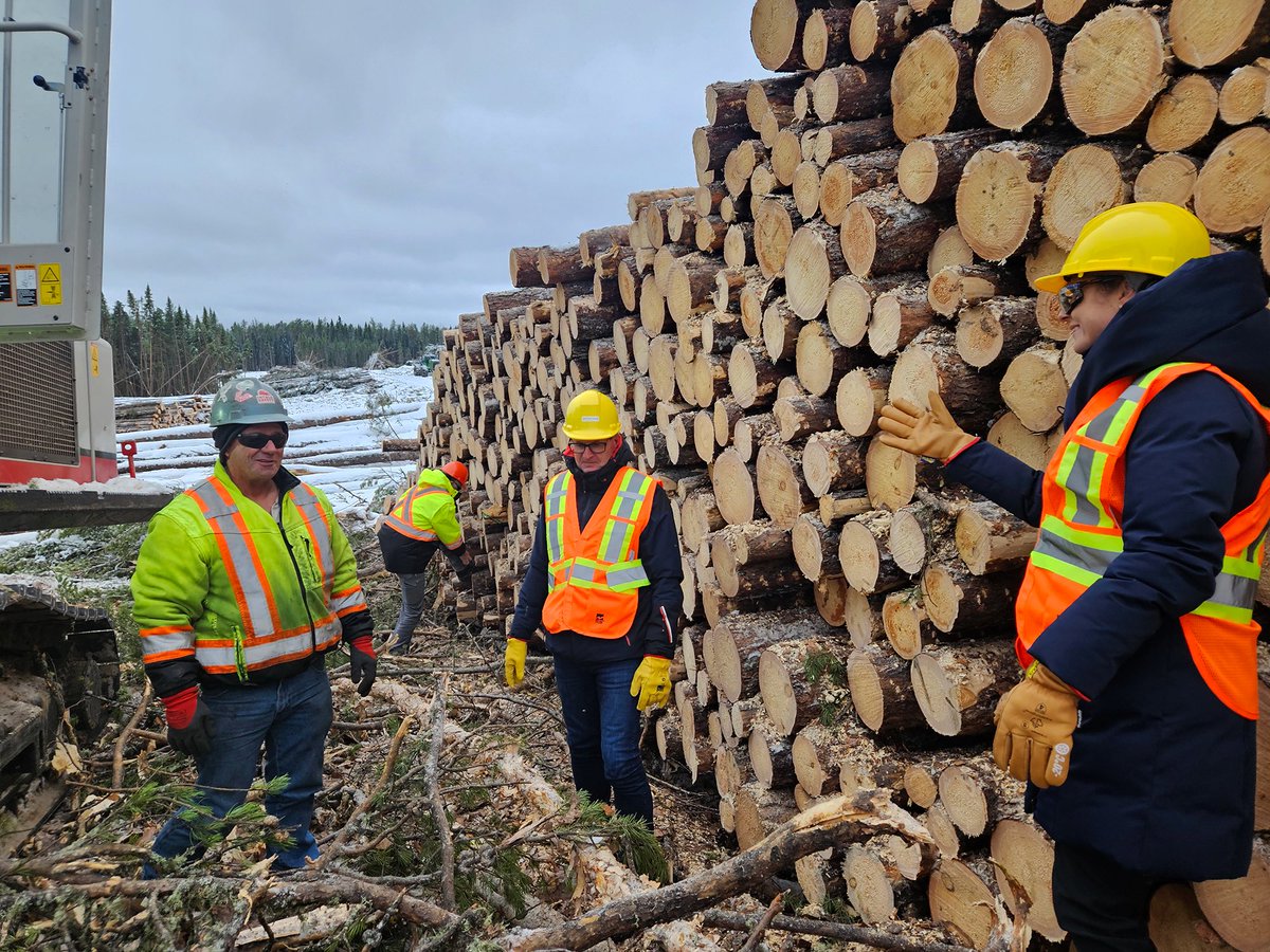 Andrea Khanjin tweet media