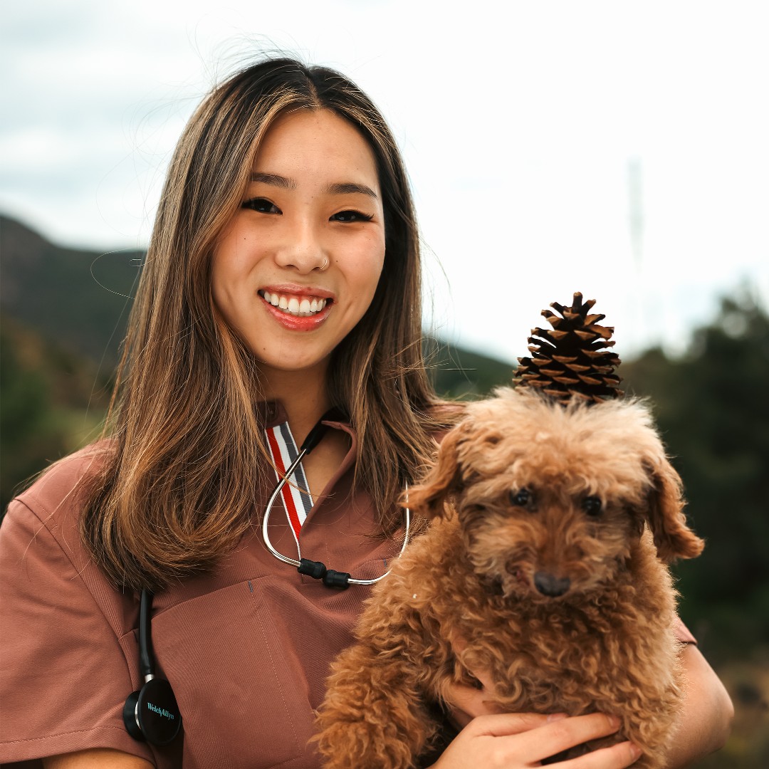 shopmediclo's tweet photo. Guess who's ready for fall? We are, with our latest color drop, PINE CONE! It's the perfect shade to cozy up your season, and your furry friend agrees. 🍂🐾 #PineConeSeason https://t.co/UTOuKZn68C