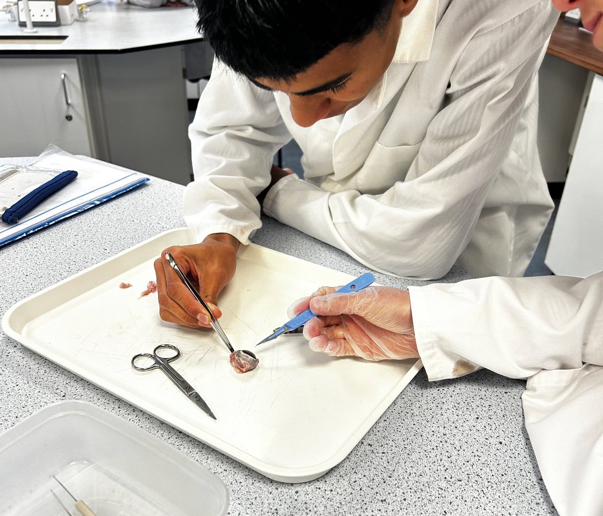 Warminster Biology tweet media