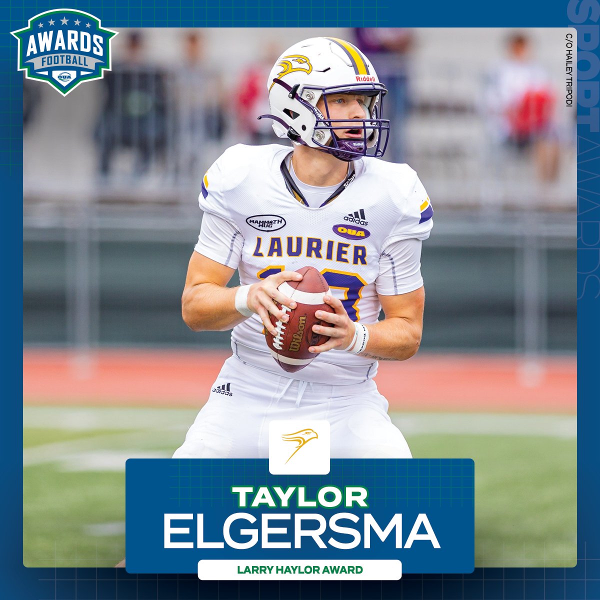 Congratulations to @WLUAthletics Taylor Elgersma, who has been named the Larry Haylor Award recipient as the 2023 #OUA football most valuable player. 🏈 #WeAreONE | #QuestForTheCup