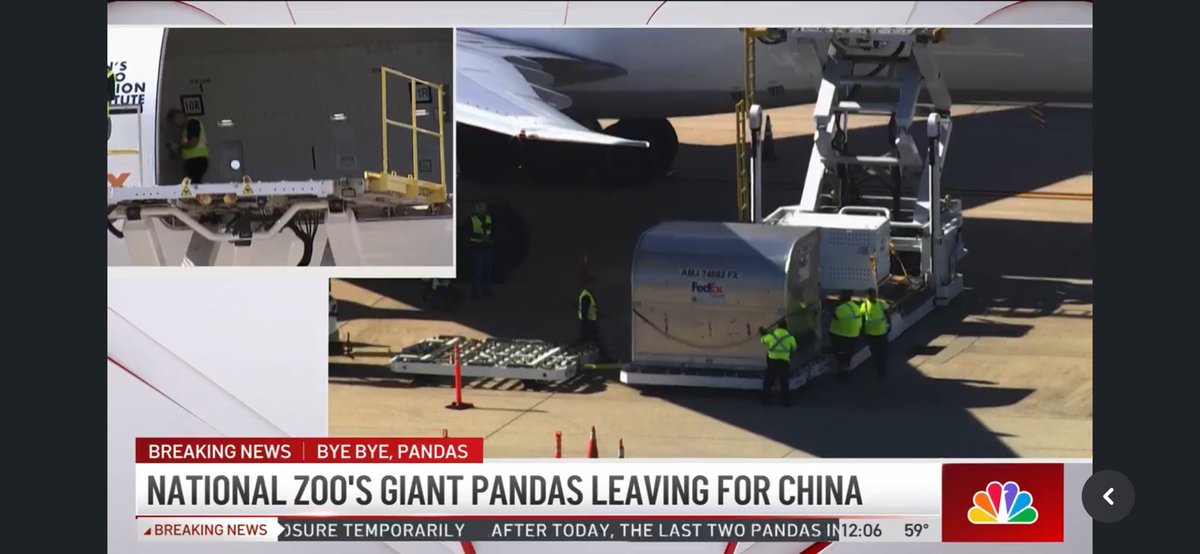 pandas_fr's tweet photo. 🐼 🐼 🐼 🇺🇸 ✈️ 🇨🇳 @nbcwashington est en direct de @Dulles_Airport : la troisième caisse et des provisions sont maintenant chargées.
#MeiXiang #TianTian et #XiaoQiJi
#FedExPandaExpress
https://t.co/QYVgSCHpvu https://t.co/j5hfNCUood