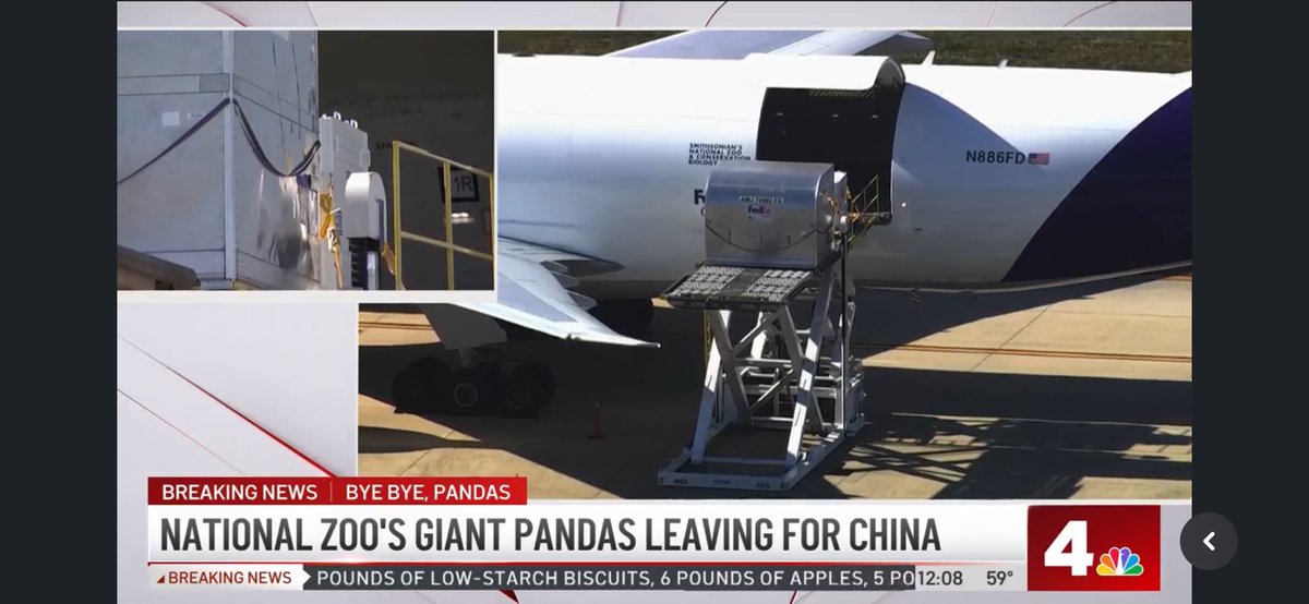 pandas_fr's tweet photo. 🐼 🐼 🐼 🇺🇸 ✈️ 🇨🇳 @nbcwashington est en direct de @Dulles_Airport : la troisième caisse et des provisions sont maintenant chargées.
#MeiXiang #TianTian et #XiaoQiJi
#FedExPandaExpress
https://t.co/QYVgSCHpvu https://t.co/j5hfNCUood