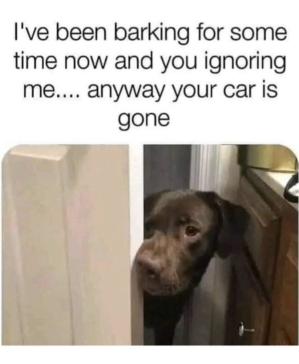 KGordonJNM23's tweet photo. Never neglect your furry friends ๐๐
#careforcreatures #animaljokes https://t.co/ZhZYmzryz4