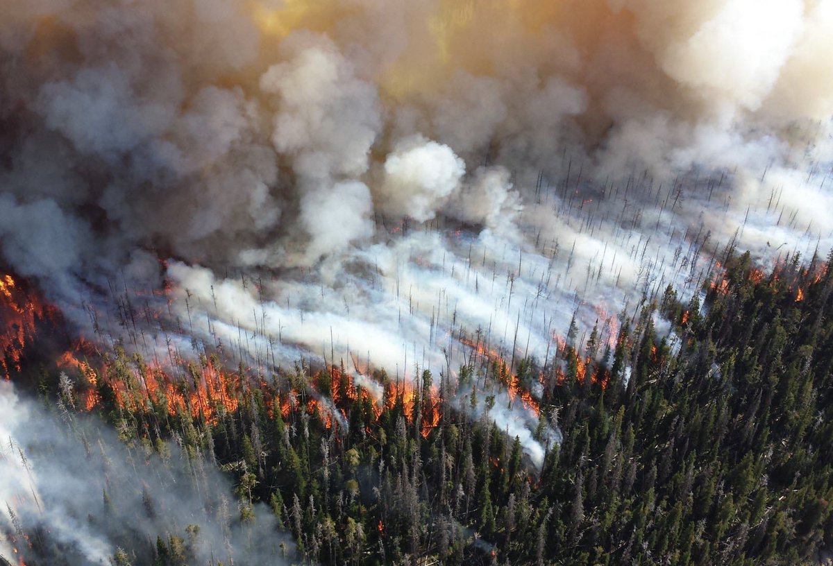 IAWF on X: Join us November 17, 8 AM-9AM PST for a crucial discussion on  Integrating Public Health into Forest and Fire Management with Savannah M  D'Evelyn, a leading expert in the