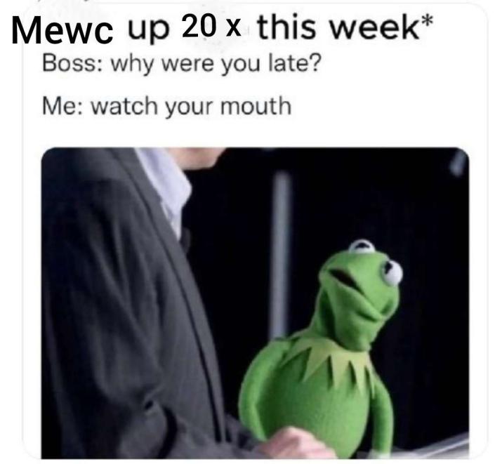 Mining_Tomato's tweet image. #mewc #meowcoin #pow #crypto #cryptocurrency