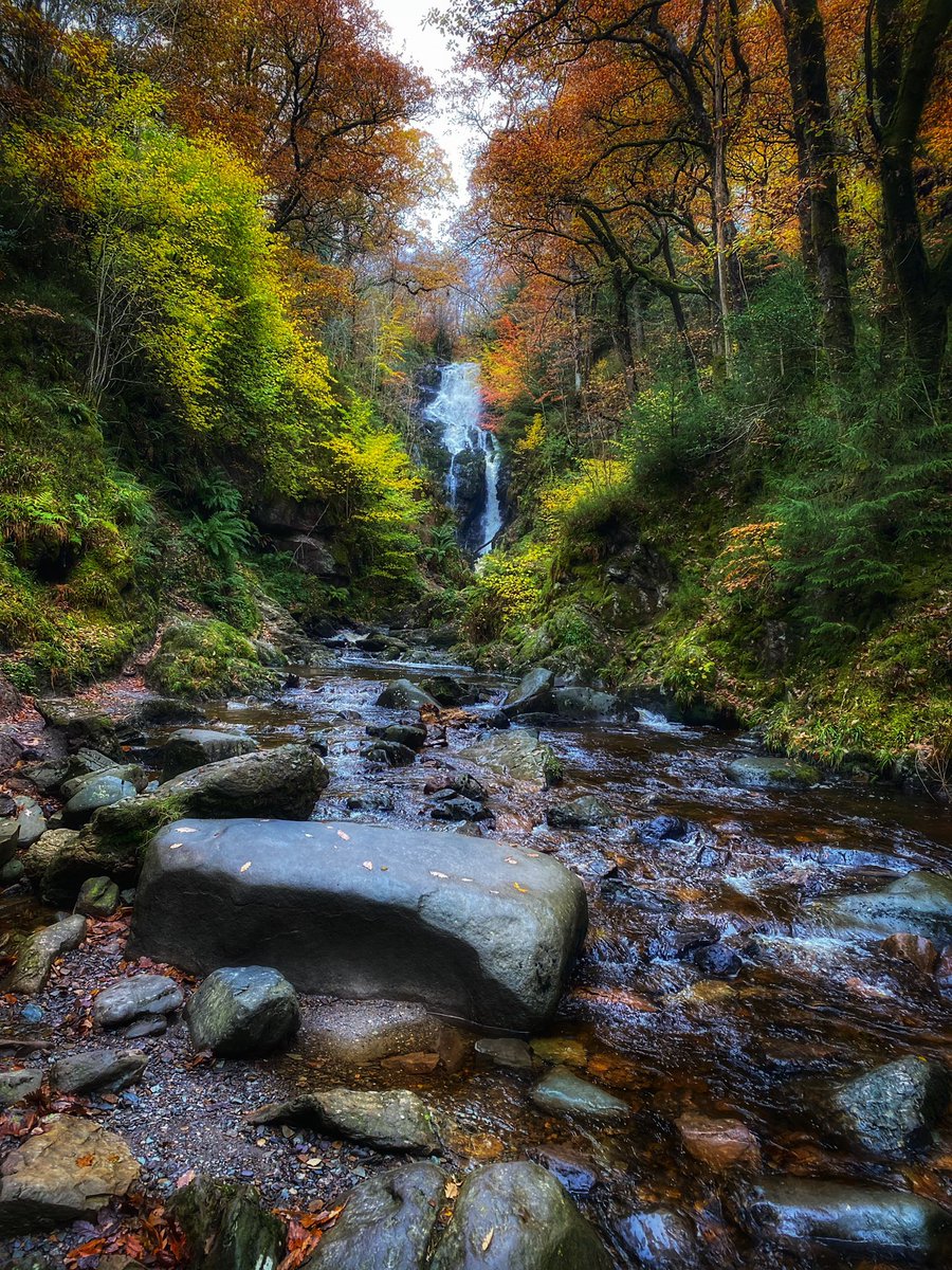 into the woods 🍁🌿

#waterfall #waterfallphotography #streams #AutumnPhotography #AutumnVibes #Autumndays 🌿🍁🌿🍁🌿🌿🍁🌿🌿🍁🌿