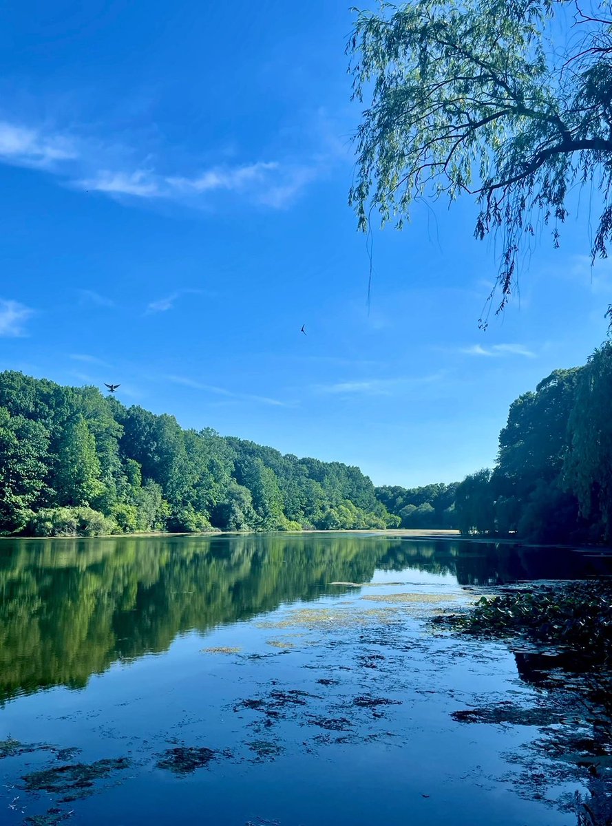 arrapot18's tweet image. Queens, LIRR side of the bay is very easy to get to, OaklandLake and Crocheron parks, natural oxygen bar, very few people, exceptional wildlife, but more people need to be able to walk #Queensone of the five boroughs of New York City #NY