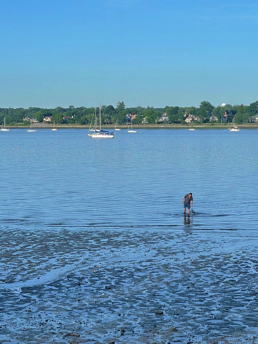 arrapot18's tweet image. Queens, LIRR side of the bay is very easy to get to, OaklandLake and Crocheron parks, natural oxygen bar, very few people, exceptional wildlife, but more people need to be able to walk #Queensone of the five boroughs of New York City #NY