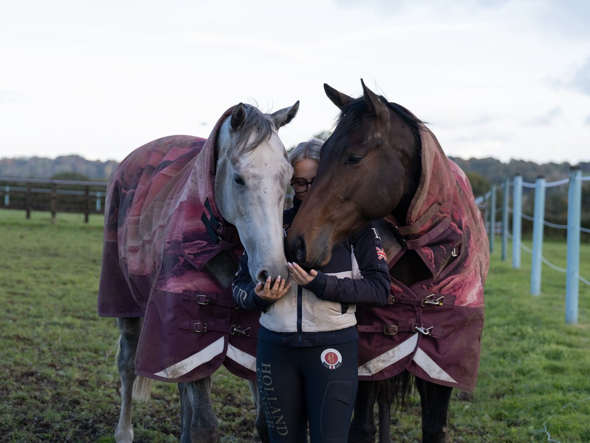 eliteracingclub's tweet photo. Harmoniser and his friend First Folio from Owners Group have become great friends with Phoebe 🥰 #EliteRacingClub #Harmoniser https://t.co/MHlKajbdog