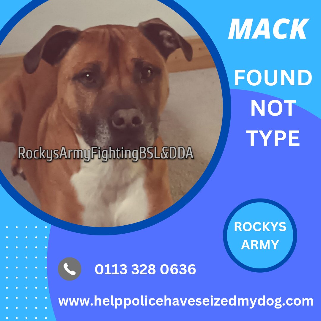 rockysarmyvbsl's tweet photo. Today's very good news story. 

This beautiful handsome chap is Mack who was initially seized and assessed as a banned breed 'Pitbull type' in February this year.

He was assessed by the police expert who said he was a banned breed, but did allow him home on the Interim Exemption Scheme.

Independent expert Orion Dog Services, Mike Barnett went to assess Mack and after his very detailed and professional assessment he found that Mack did not meet the criteria. 

The case was heard today and evidence given by both experts for the courts to make their decision. We are very happy to announce that the courts agreed with the independent experts findings which means Mack is not a banned breed and will now be free from the restrictions he had to follow whilst on IES.

This also means that the just over three thousand pounds requested in costs by the prosecution were not awarded.

We wish Mack and his lovely family all the very best for the future.

Many thanks to today's solicitor Steve and Mike Barnet for his assessment. 

Remember if your dog is seized contact us immediately as early intervention can make all the difference.

If your dog is seized by police contact us immediately for FREE confidential advice and remember DO NOT SIGN anything without seeking advice first.

Telephone: 0113 328 0636

Email: policeseizedmydog@gmail.com

Website: https://t.co/EyJaMa1lWl

#rockysarmy