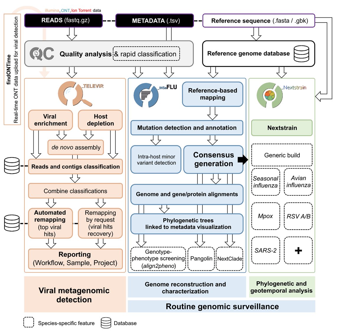 Vítor Borges tweet media